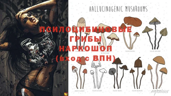 ECSTASY Михайловск