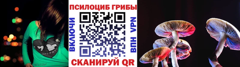 Псилоцибиновые грибы Psilocybine cubensis  закладка  Пересвет 